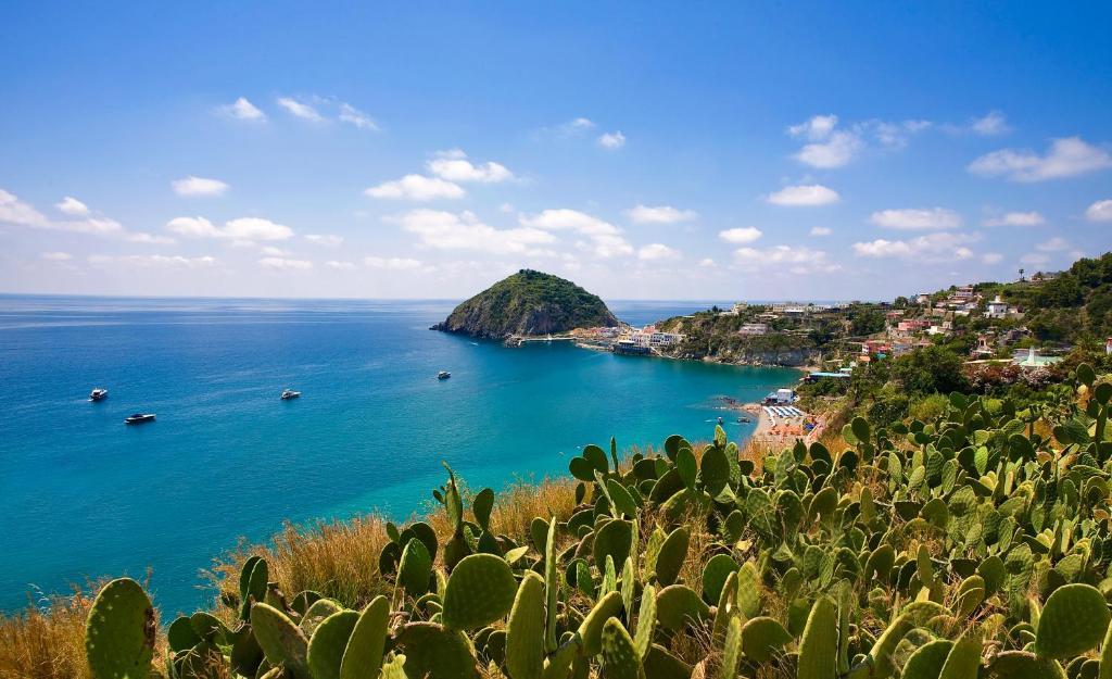 Hotel Vittorio Beach Resort Barano dʼIschia Extérieur photo